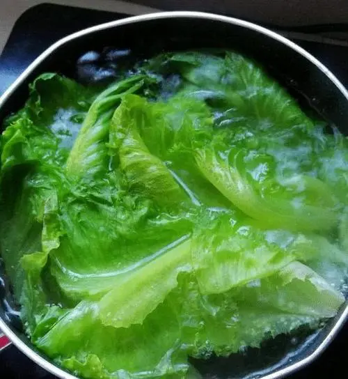 十天吃水煮菜瘦30斤（最适合懒人的减肥方法）-第3张图片-飞扬号