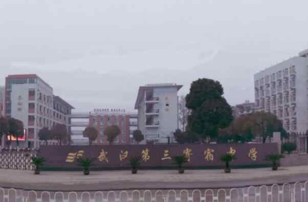 武汉的私立中学有哪些（武汉私立学校排名前十名）-第2张图片-飞扬号