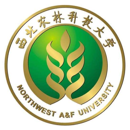 陕西省最牛的大学是哪一所（陕西名校大学排名前十）-第3张图片-飞扬号