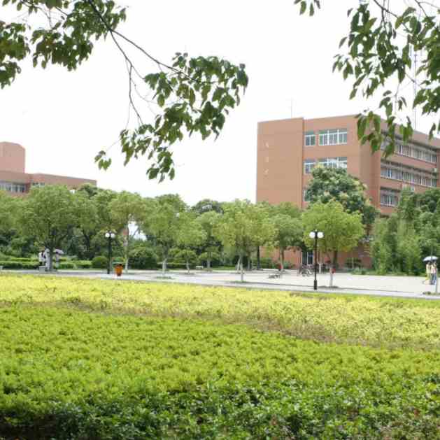 宁波最好的大学是哪几所（宁波十大大学排行榜）-第3张图片-飞扬号