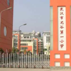 武汉市最牛的小学有哪些（武汉市最好的十所小学排行榜）-第3张图片-飞扬号