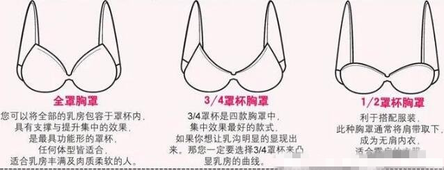 女性胸围尺码对照表（上下胸围差决定了胸罩的尺码）-第3张图片-飞扬号