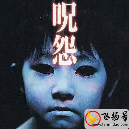 日本恐怖片有哪些好看的（日本最吓人的恐怖电影排名）-第4张图片-飞扬号
