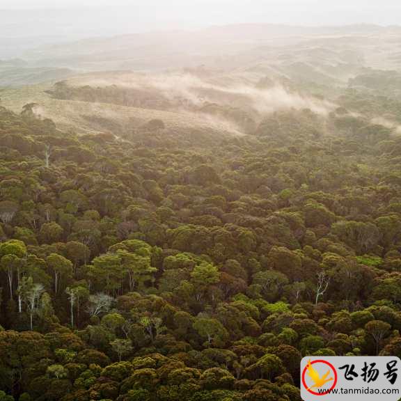 南美洲经济最发达的国家是哪一个（南美洲最发达国家排名榜前十）-第4张图片-飞扬号