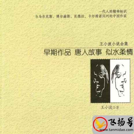 王小波的代表作品有哪些（王小波经典作品排名前十）-第3张图片-飞扬号