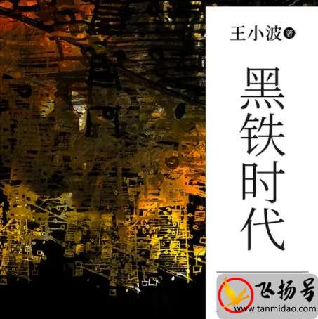 王小波的代表作品有哪些（王小波经典作品排名前十）-第4张图片-飞扬号