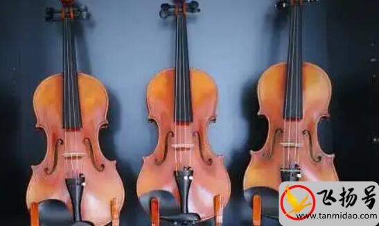 一般小提琴多少钱一把（初学者小提琴多少钱）-第1张图片-飞扬号