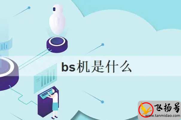 bs机是什么意思（bs机的寿命和正品寿命一样吗）-第2张图片-飞扬号