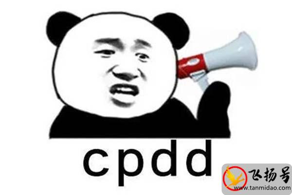 女生说CPDD是什么意思（cpdd下一句怎么接）-第3张图片-飞扬号