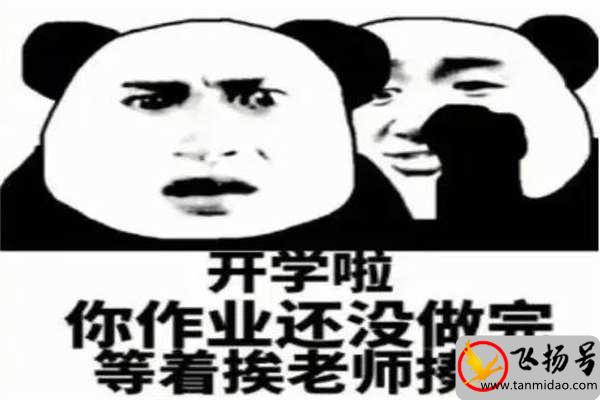 作业害死了多少人（作业真的会害死人吗）-第2张图片-飞扬号