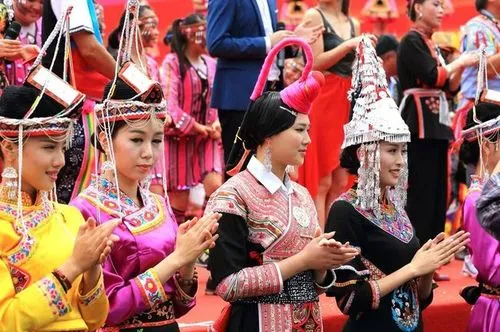 畲族是哪个省份的少数民族-第2张图片-飞扬号
