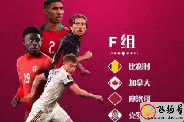 2022世界杯F组球队一览表（2022卡塔尔世界杯F组赛程）